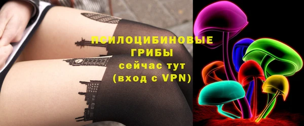винт Дмитров