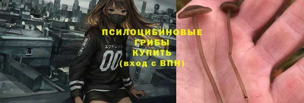 ешки Дмитровск