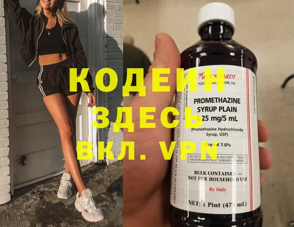 ешки Дмитриев