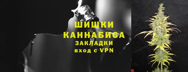 ешки Дмитриев