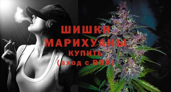 винт Дмитров