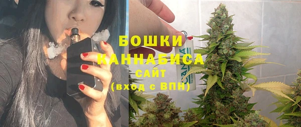 ешки Дмитриев