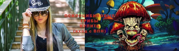 ешки Дмитровск