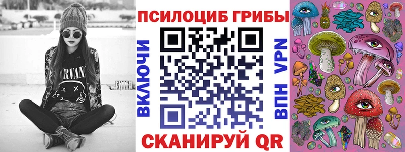 Купить  Трубчевск  Галлюциногенные грибы Cubensis 